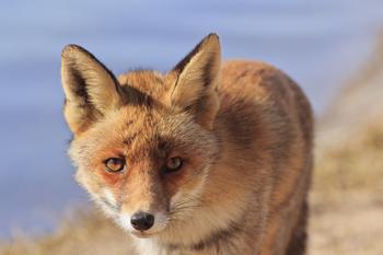 �ƾų���ǧ��Ƶ��2014��������������ȸ�λ������7192:1...